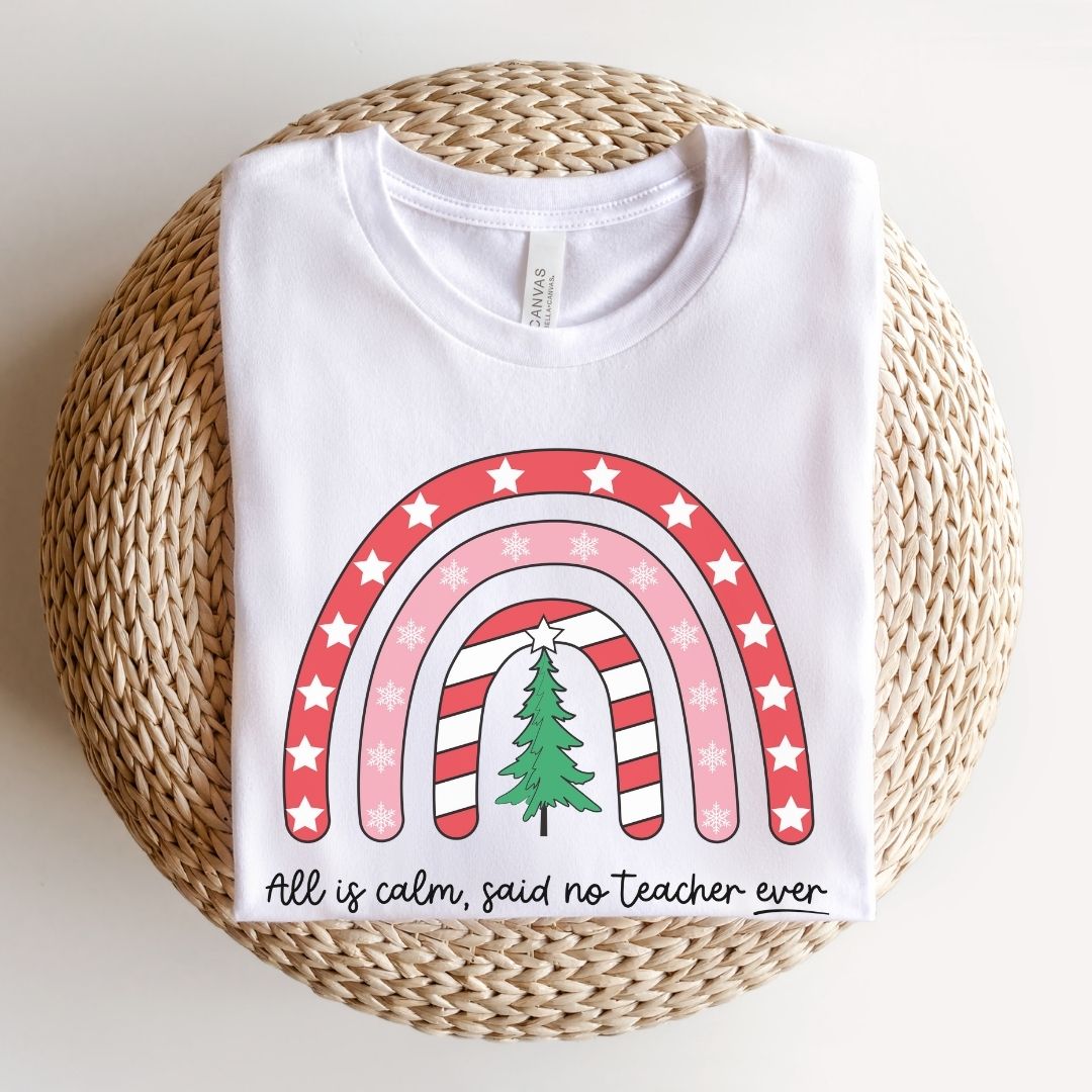 "All is Calm Said No Teacher Ever" Holiday Teacher T-shirt - Teacher Care Crate - T-Shirt