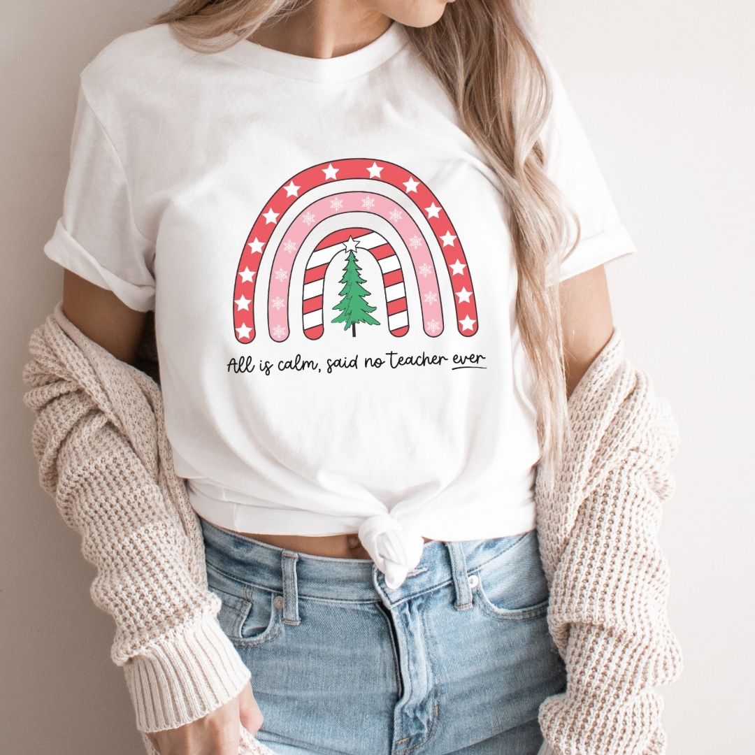 "All is Calm Said No Teacher Ever" Holiday Teacher T-shirt - Teacher Care Crate - T-Shirt