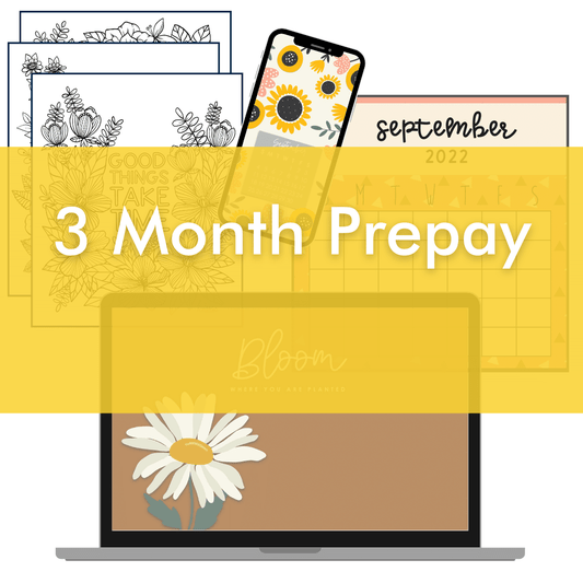 Teacher Digi - Pack 3 - Month Prepay Subscription - Teacher Care Crate -