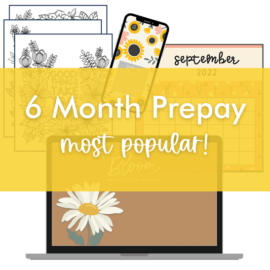 Teacher Digi - Pack 6 - Month Prepay Subscription - Teacher Care Crate -