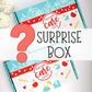 Giftable Surprise Box - Teacher Care Crate-