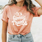 "It's Giving Thanks" Teacher T-shirt - Teacher Care Crate - T-Shirt