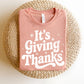 "It's Giving Thanks" Teacher T-shirt - Teacher Care Crate - T-Shirt