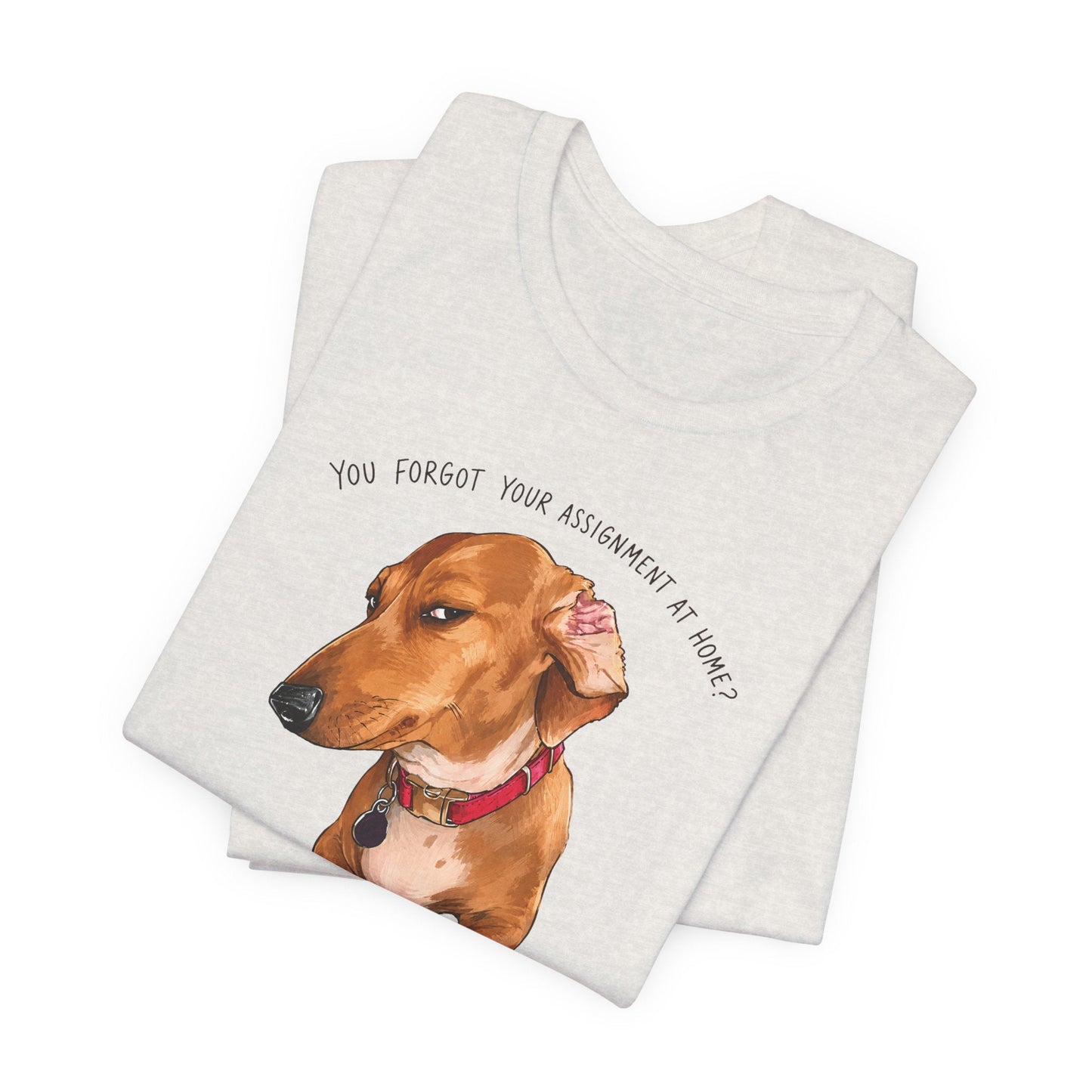 "Side-eye Dachshund" Meme Teacher T-shirt - Teacher Care Crate-T-Shirt