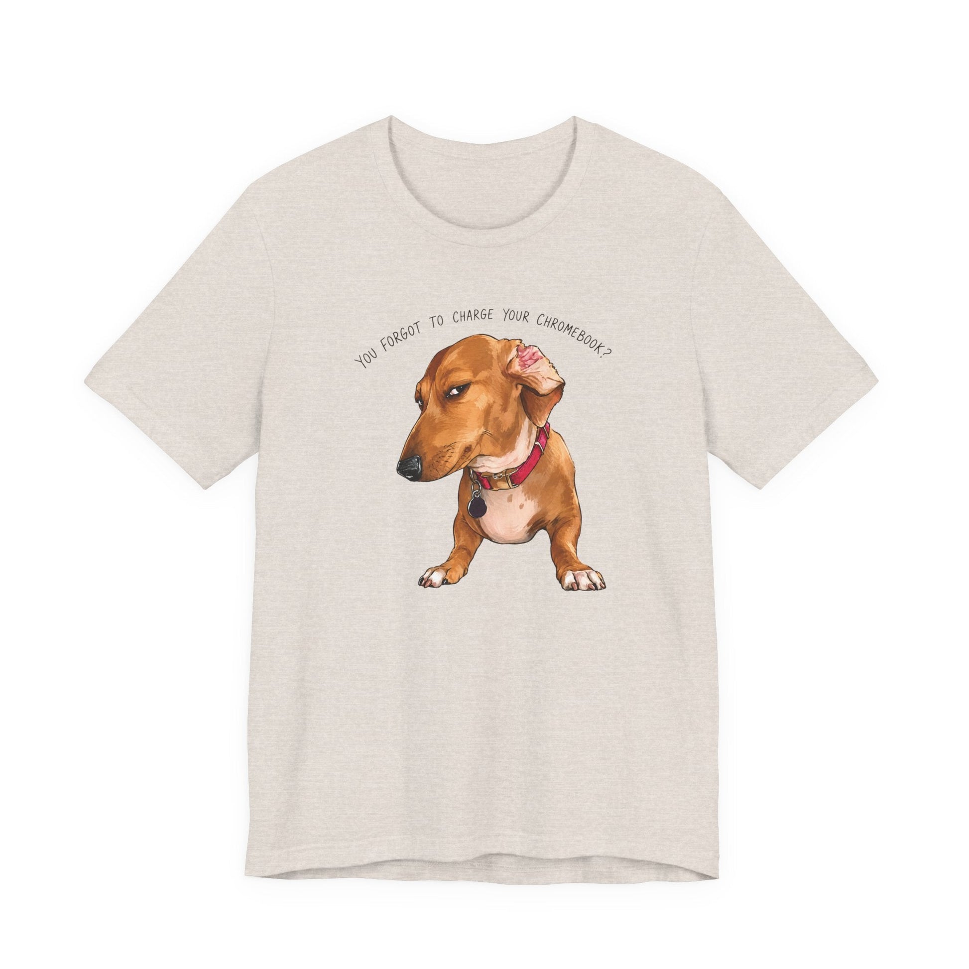 "Side-eye Dachshund" Meme Teacher T-shirt - Teacher Care Crate-T-Shirt