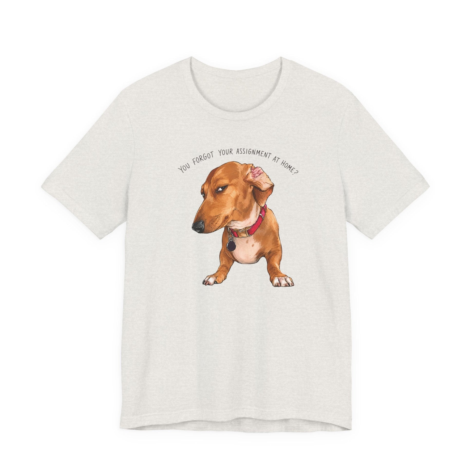 "Side-eye Dachshund" Meme Teacher T-shirt - Teacher Care Crate-T-Shirt