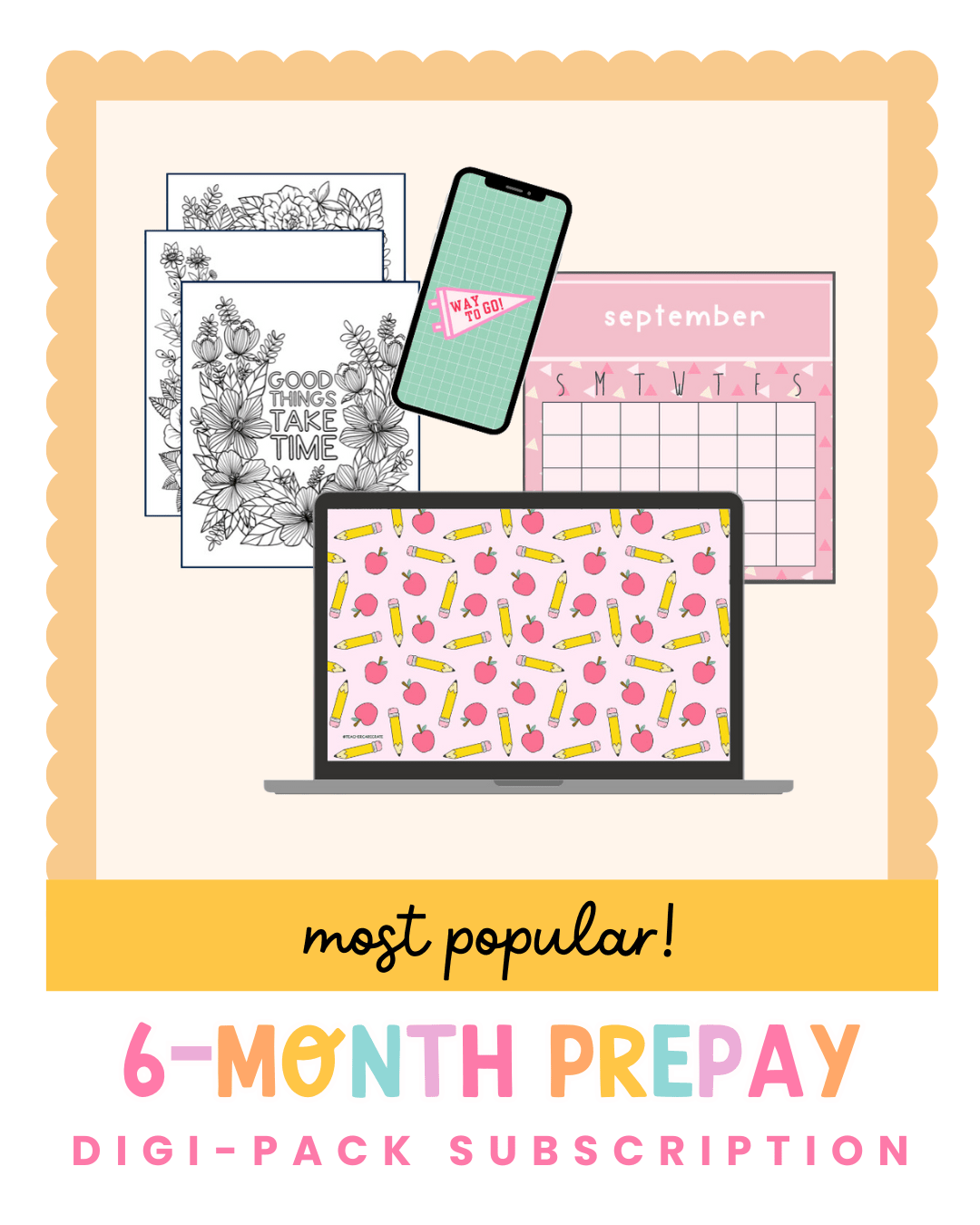 Teacher Digi - Pack 6 - Month Prepay Subscription - Teacher Care Crate - 